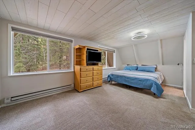 307 Snyder Mountain Road Evergreen, CO 80439