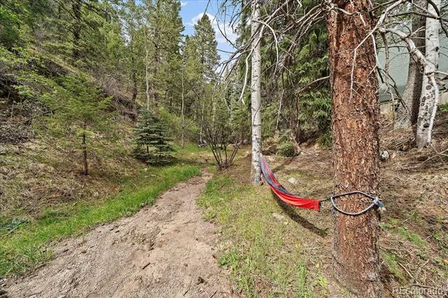 307 Snyder Mountain Road Evergreen, CO 80439