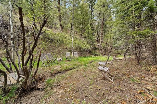 307 Snyder Mountain Road Evergreen, CO 80439