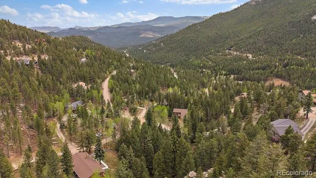 307 Snyder Mountain Road Evergreen, CO 80439