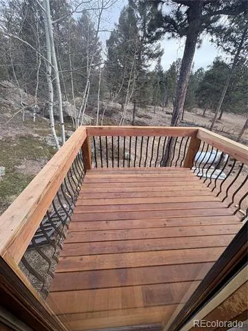 12345 Bear Haven Road Conifer, CO 80433