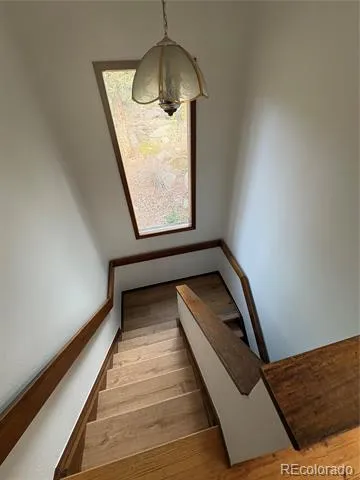 12345 Bear Haven Road Conifer, CO 80433