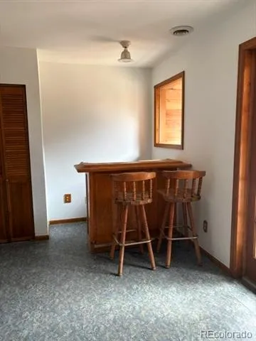 12345 Bear Haven Road Conifer, CO 80433