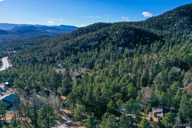 12345 Bear Haven Road Conifer, CO 80433