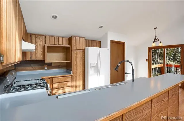 12345 Bear Haven Road Conifer, CO 80433