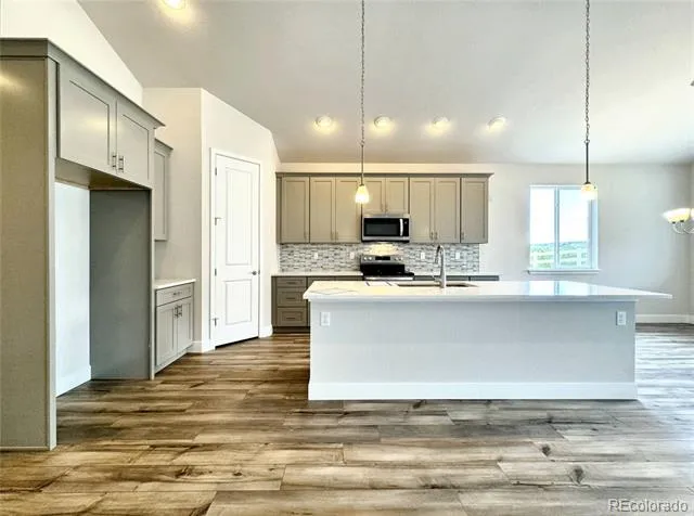 2309 Drummle Drive Castle Rock, CO 80104