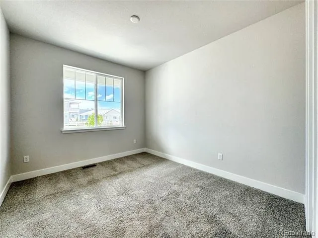 2309 Drummle Drive Castle Rock, CO 80104