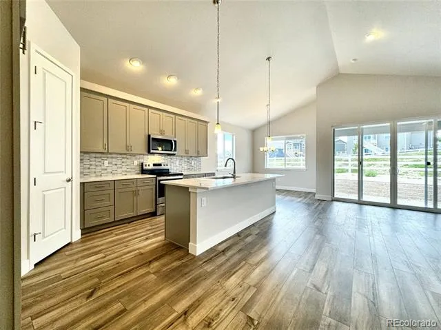 2309 Drummle Drive Castle Rock, CO 80104