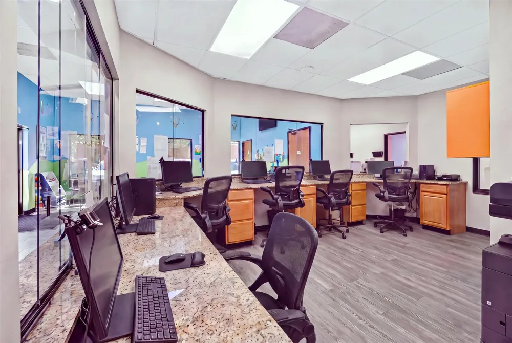 817 W Jefferson Boulevard Dallas, TX 75208