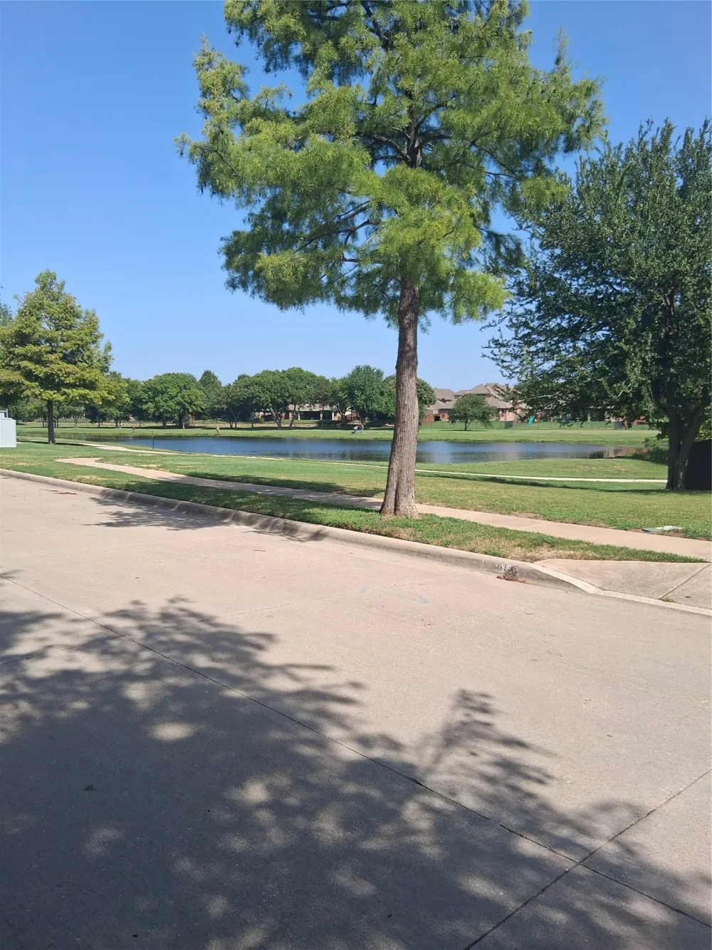 8156 Black Ash Drive Fort Worth, TX 76131