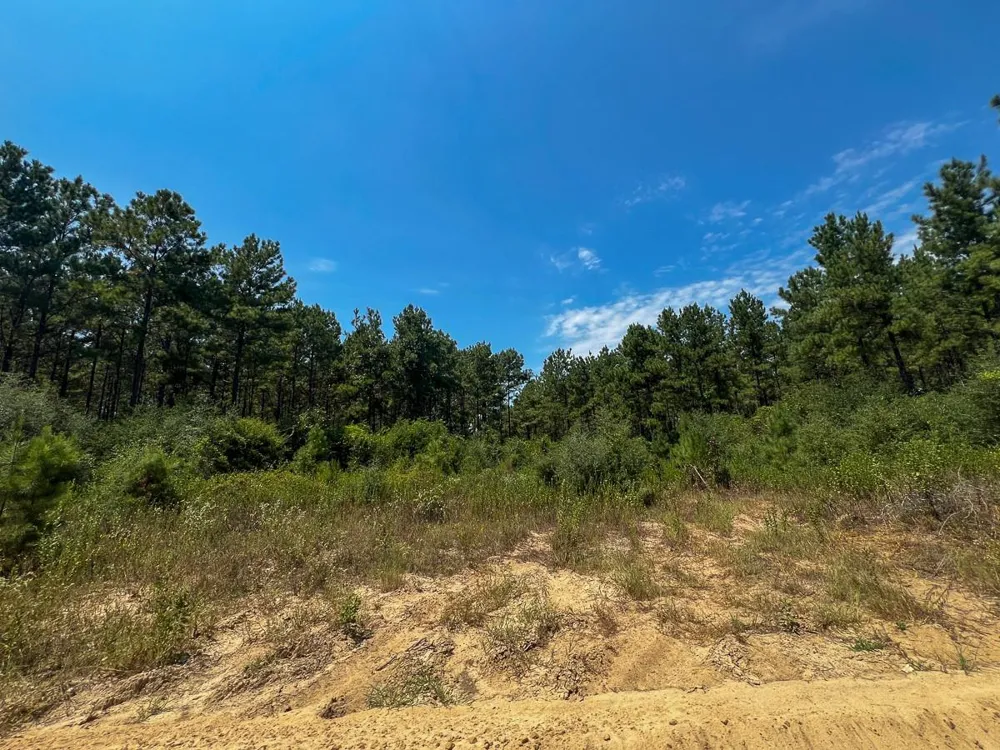 4 County Road 3230 Colmesneil, TX 75938
