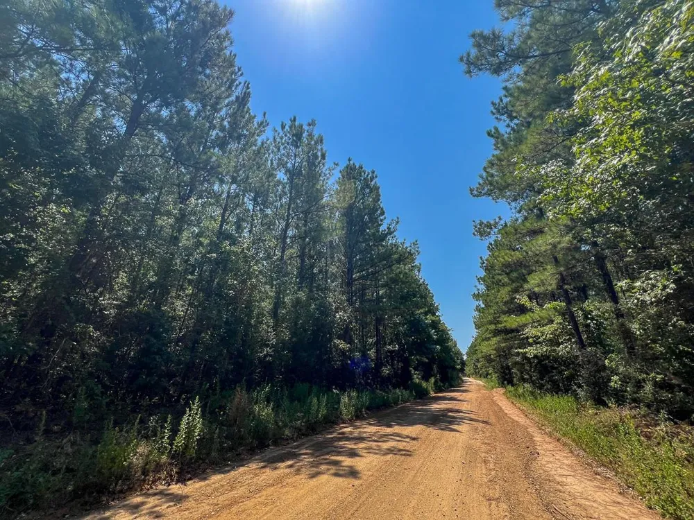 4 County Road 3230 Colmesneil, TX 75938