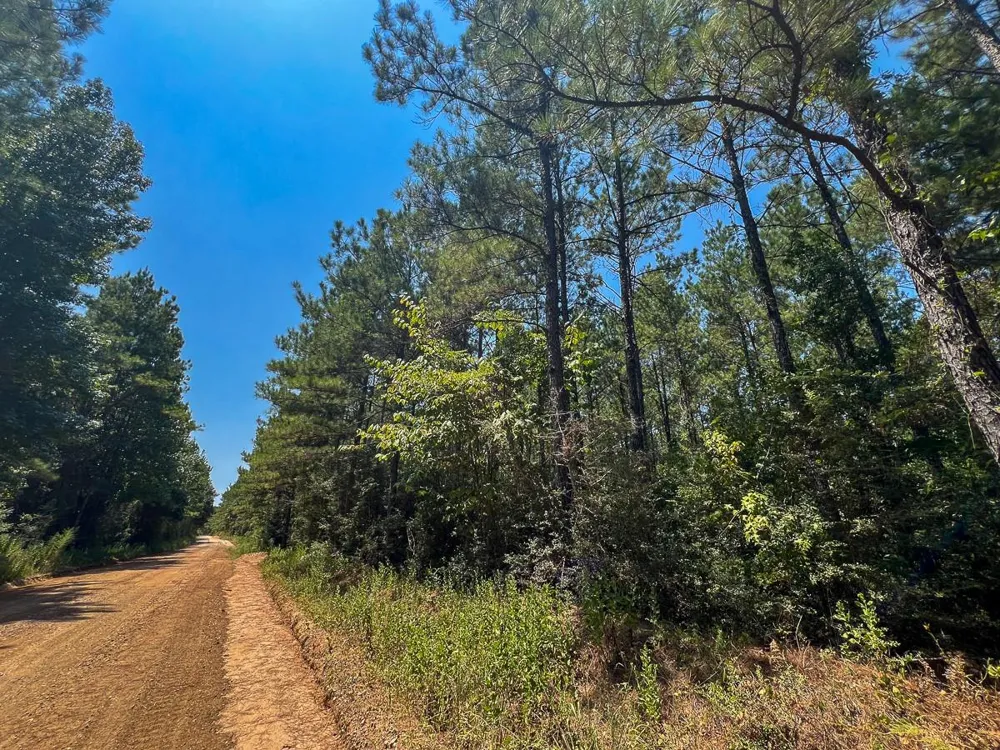 4 County Road 3230 Colmesneil, TX 75938