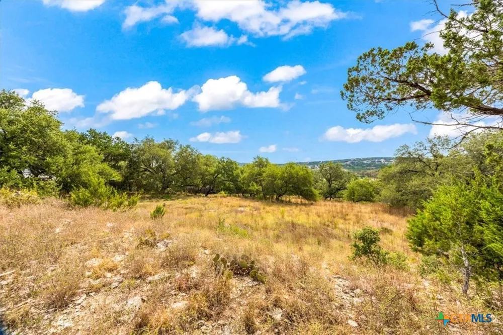 154 Double Tree Lane Canyon Lake, TX 78133