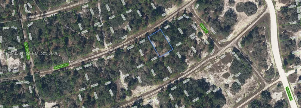 387 Showboat Ave Lake Placid, FL 33852