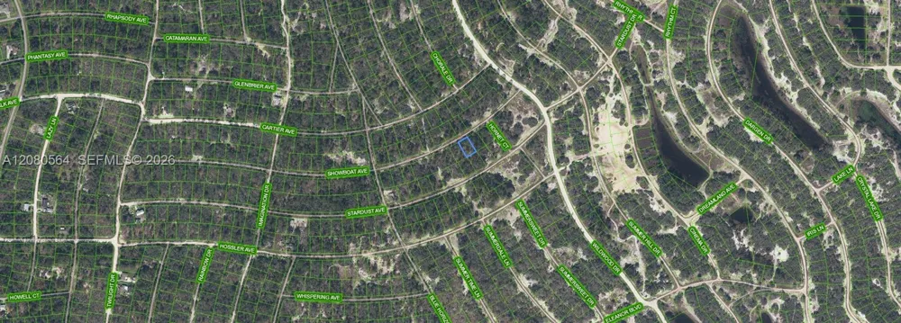 387 Showboat Ave Lake Placid, FL 33852