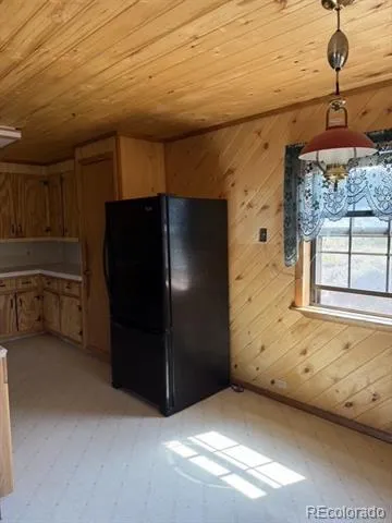 714 Commanche Peak Road South Fork, CO 81154