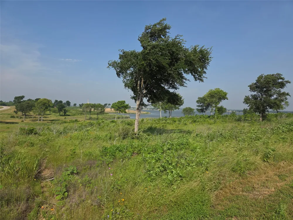 Barefoot Bay Boulevard Corsicana, TX 75109