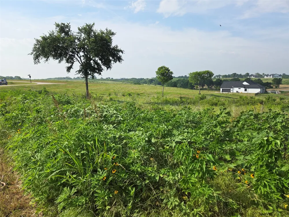 Barefoot Bay Boulevard Corsicana, TX 75109