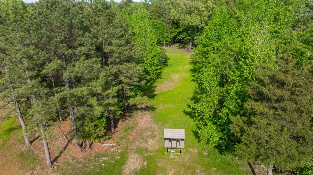 8324 Fm 44 E Simms, TX 75574