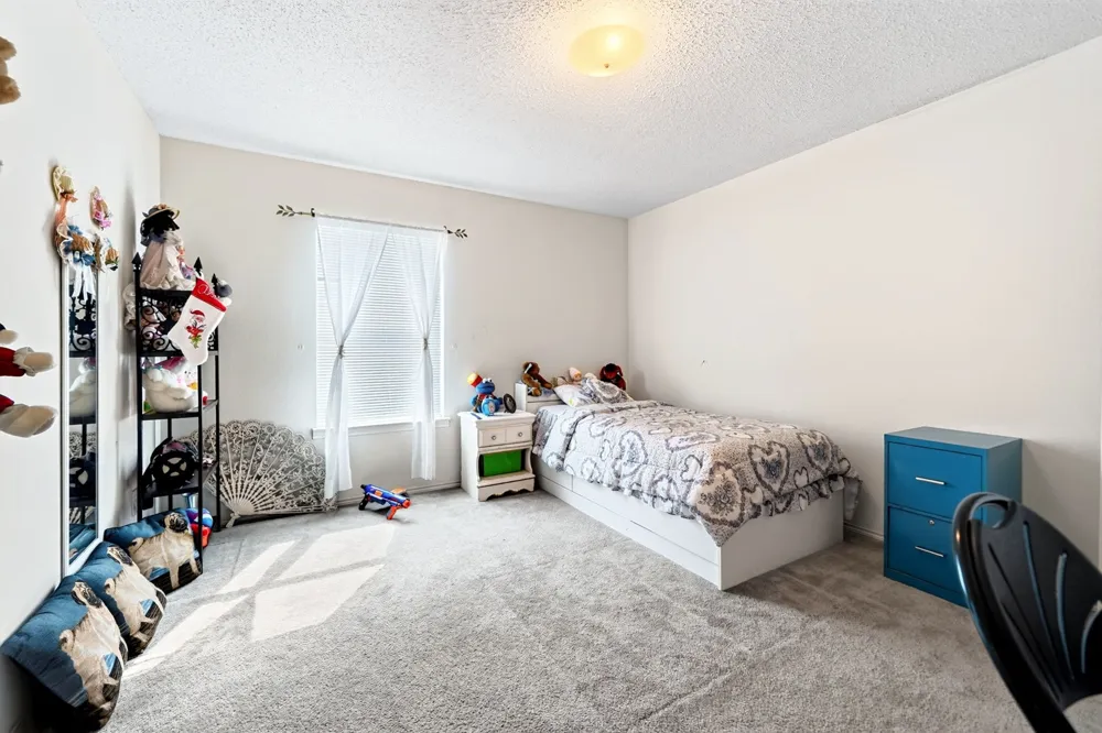 4209 boxwood Drive Balch Springs, TX 75180