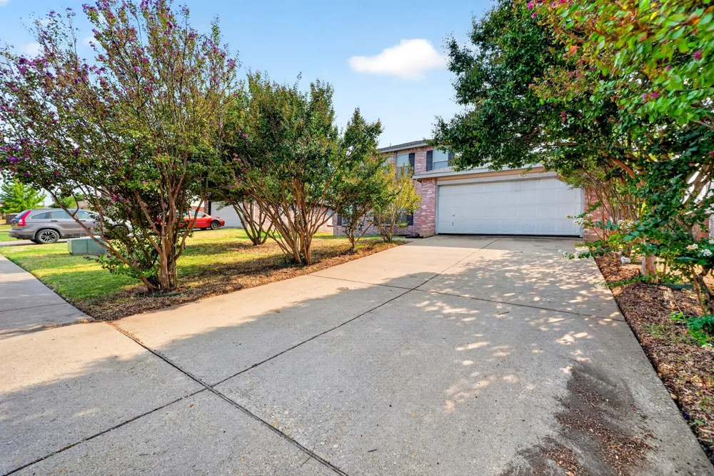 4209 boxwood Drive Balch Springs, TX 75180