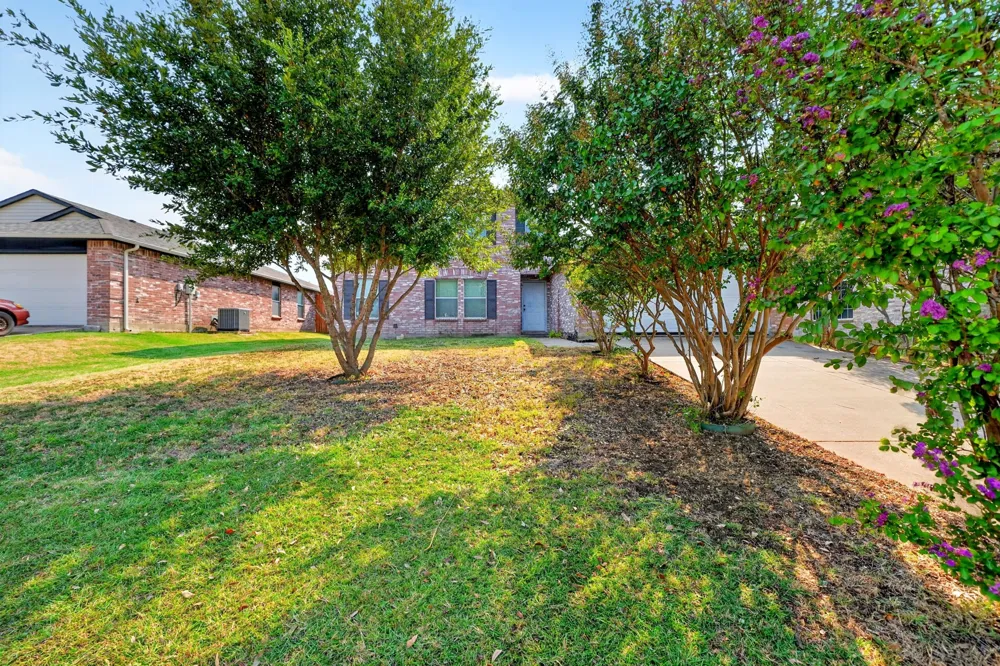 4209 boxwood Drive Balch Springs, TX 75180