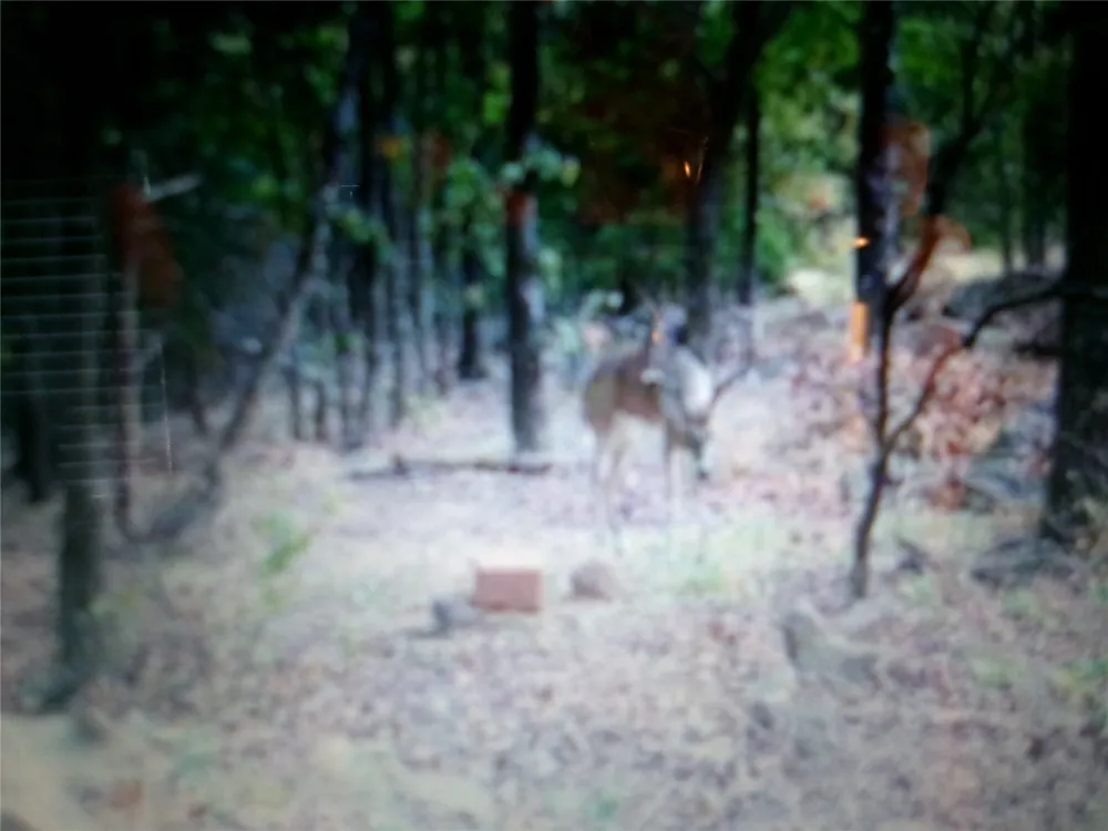 1906 Pyle Mountain Road McAlester, OK 74501