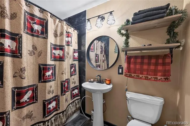 1089 Burland Drive Bailey, CO 80421