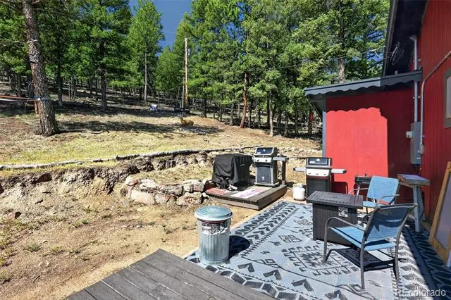 1089 Burland Drive Bailey, CO 80421