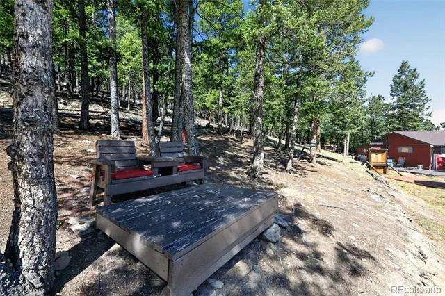1089 Burland Drive Bailey, CO 80421