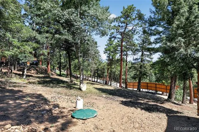 1089 Burland Drive Bailey, CO 80421