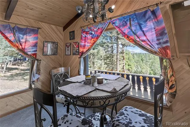 1089 Burland Drive Bailey, CO 80421