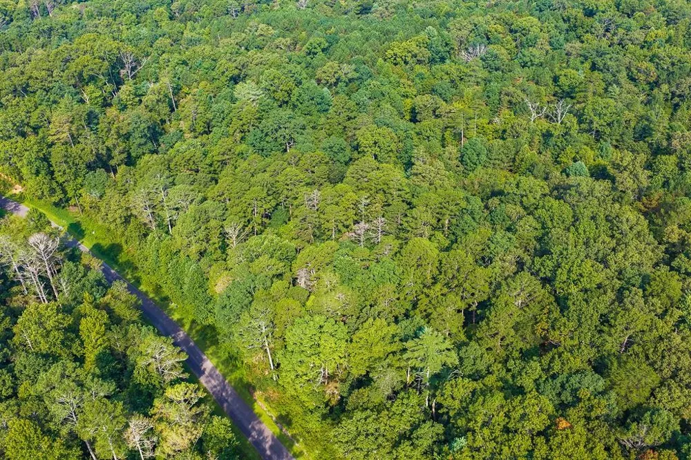 186 Pinnacle Drive Ellijay, GA 30540