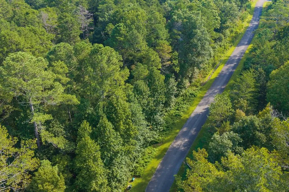 186 Pinnacle Drive Ellijay, GA 30540