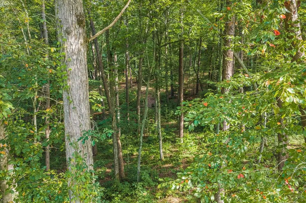 186 Pinnacle Drive Ellijay, GA 30540