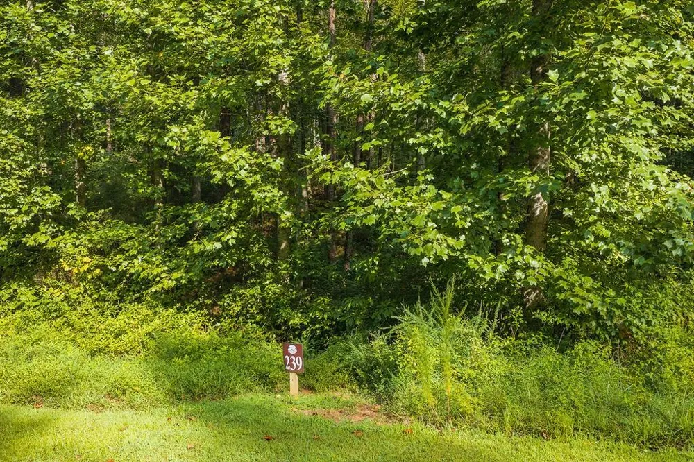 186 Pinnacle Drive Ellijay, GA 30540