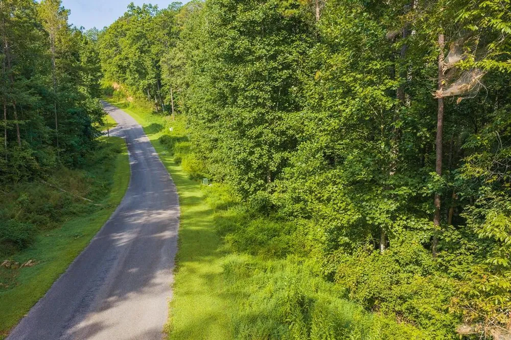 186 Pinnacle Drive Ellijay, GA 30540