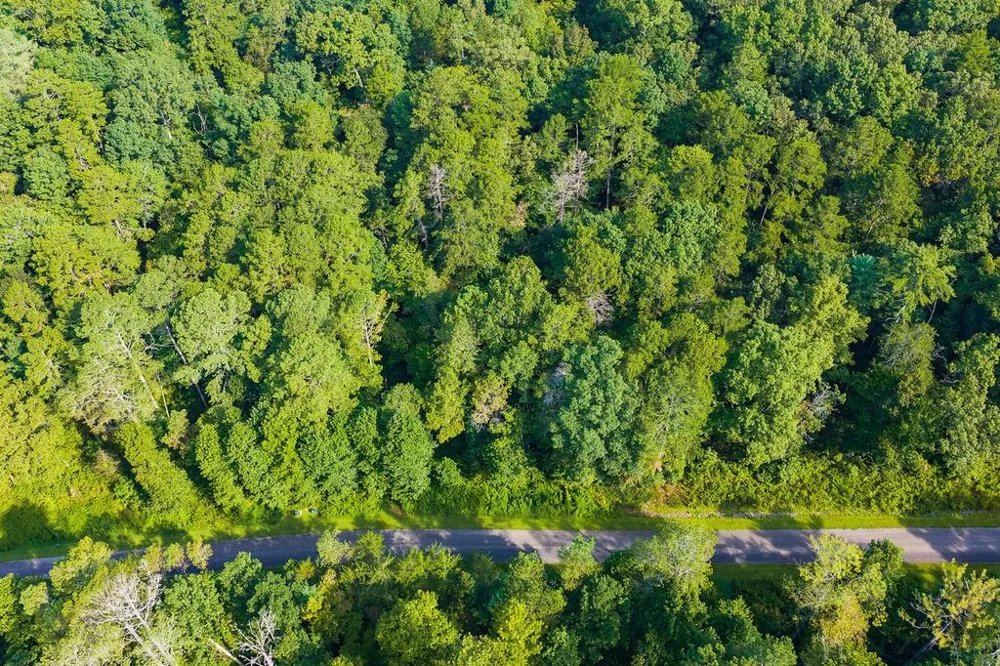 186 Pinnacle Drive Ellijay, GA 30540