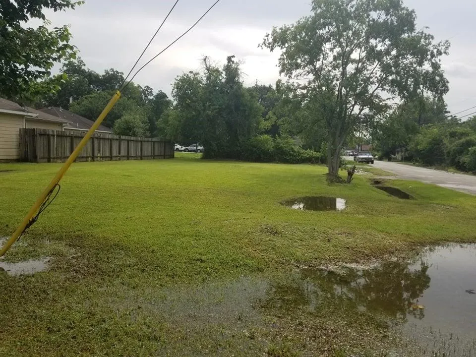 Glenarm Street Houston, TX 77020