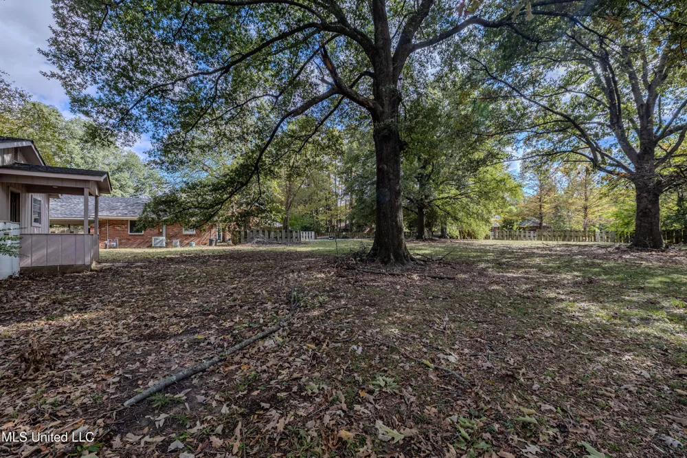 1411 Memorial Drive Cleveland, MS 38732