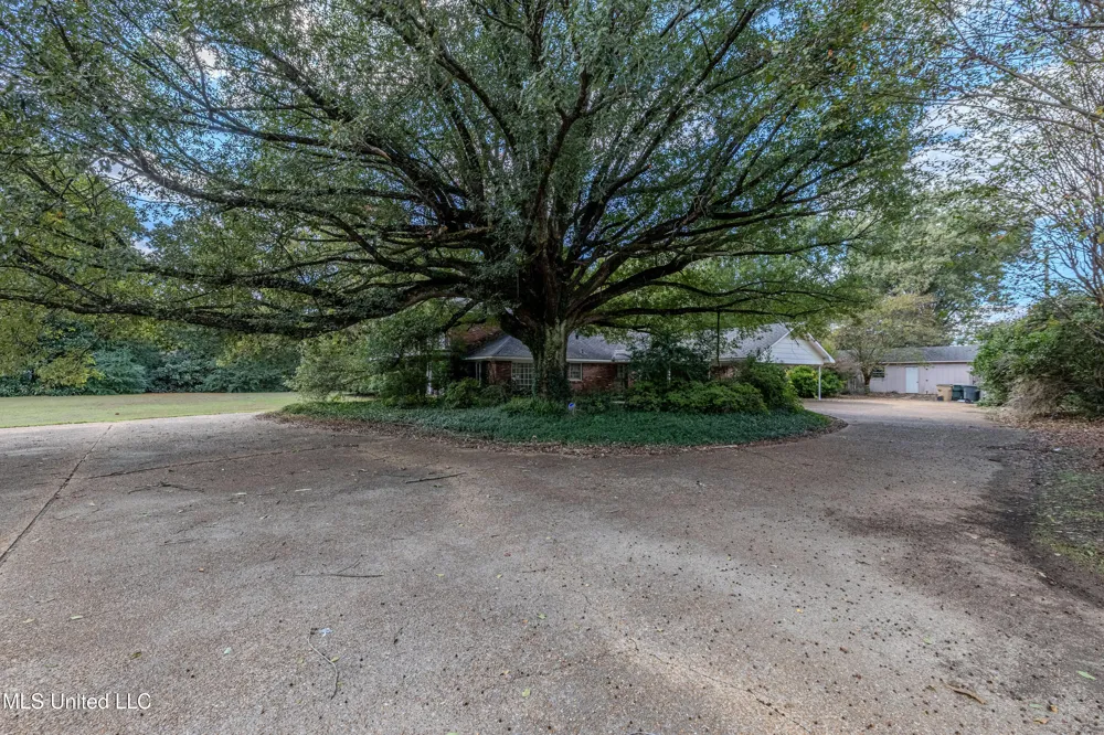 1411 Memorial Drive Cleveland, MS 38732