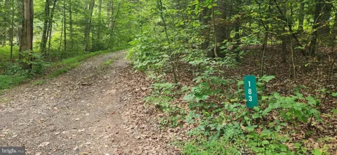 JUNIATA FURNACE LANE