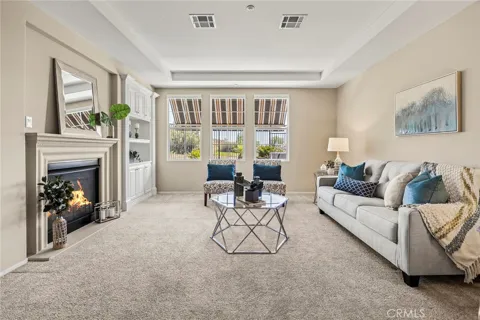 17206 Coriander Court