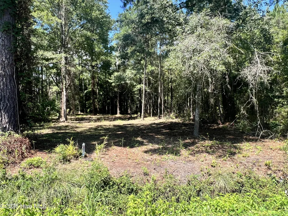 Lot 4 Elm Street Belhaven, NC 27810