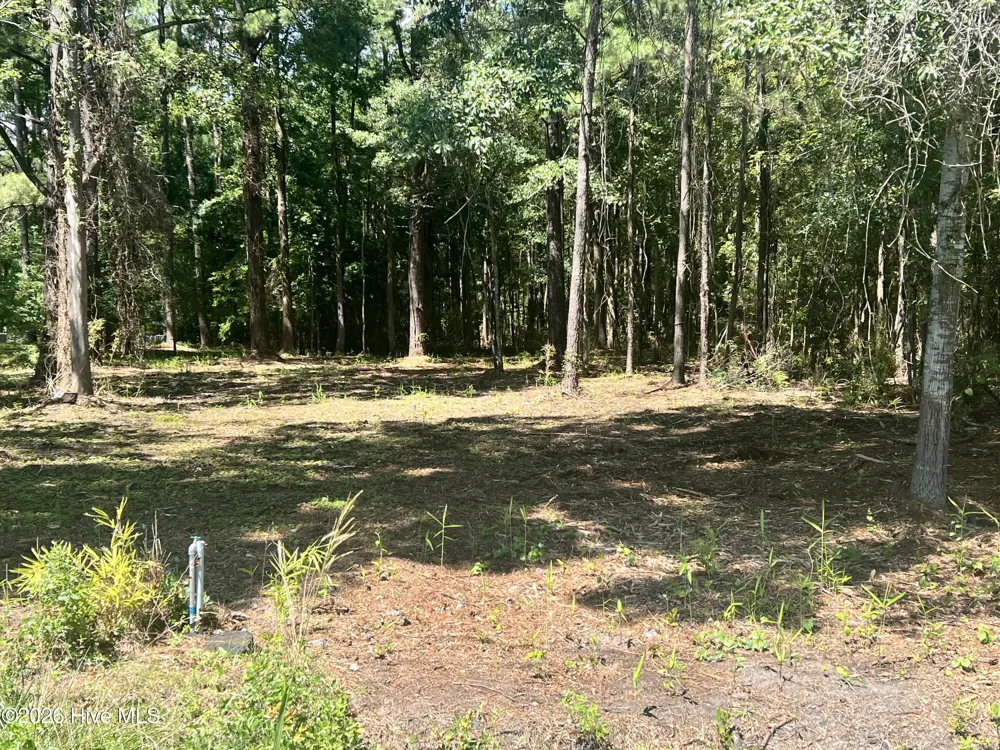 Lot 4 Elm Street Belhaven, NC 27810