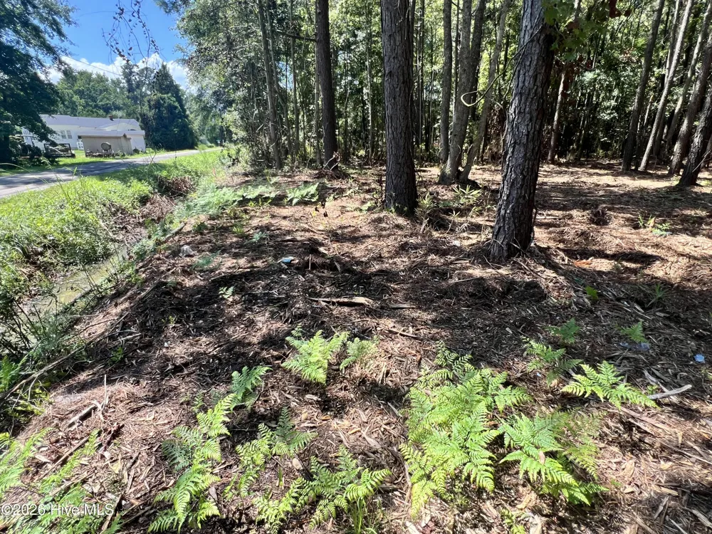 Lot 4 Elm Street Belhaven, NC 27810