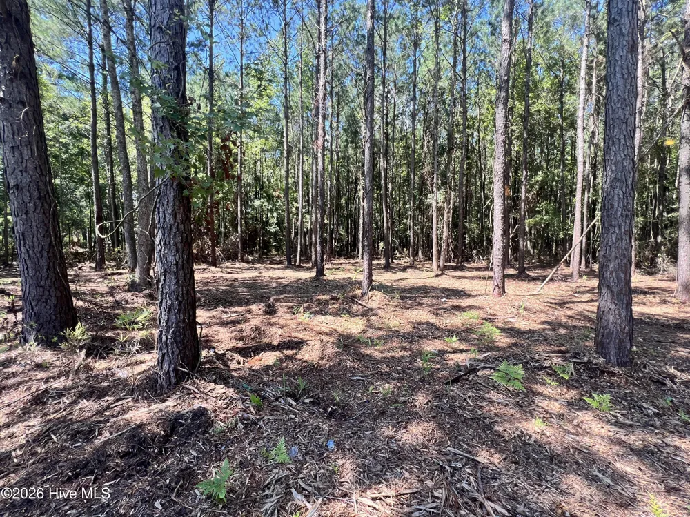 Lot 4 Elm Street Belhaven, NC 27810