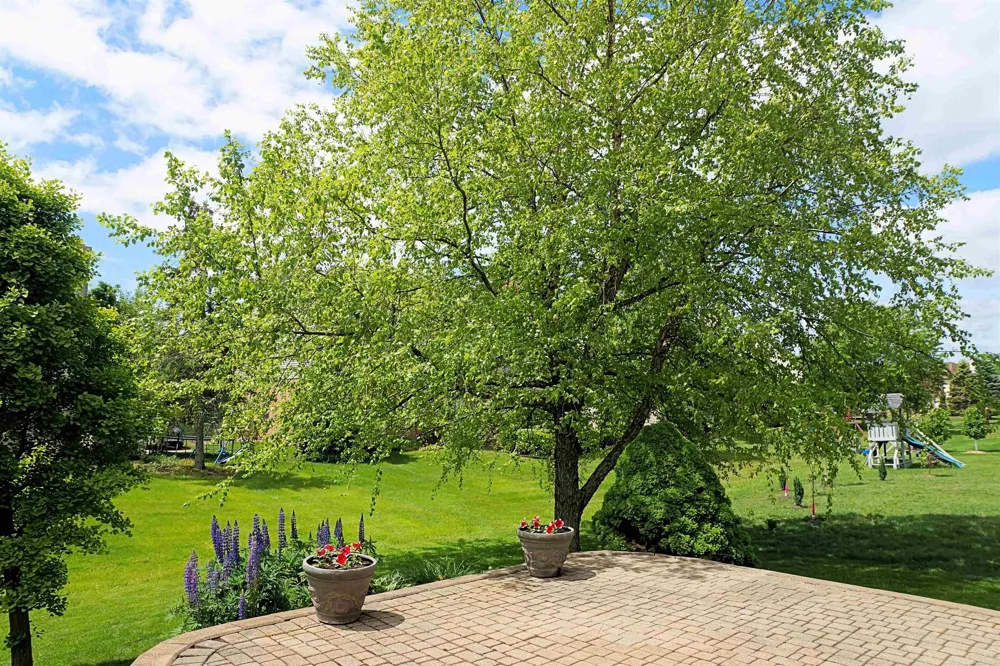 45875 Fountain View Drive Canton Charter Township, MI 48188