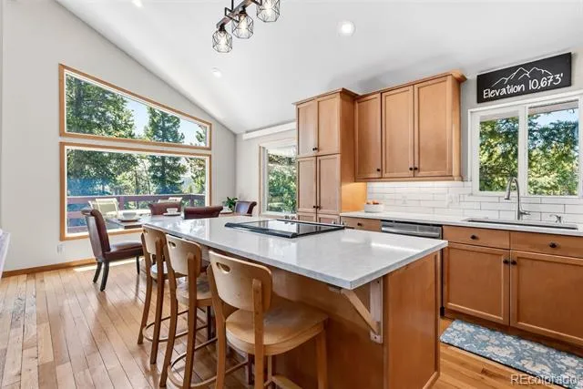 1233 Baldy Road Breckenridge, CO 80424